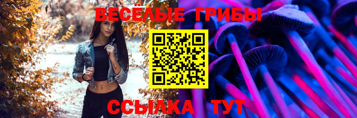 Галлюциногенные грибы мицелий Карталы
